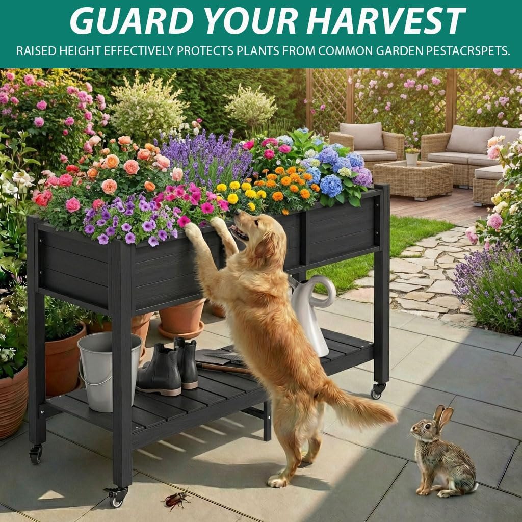 Cassone Rialzato per Giardino  - Garden Storage Box recensione e prezzo